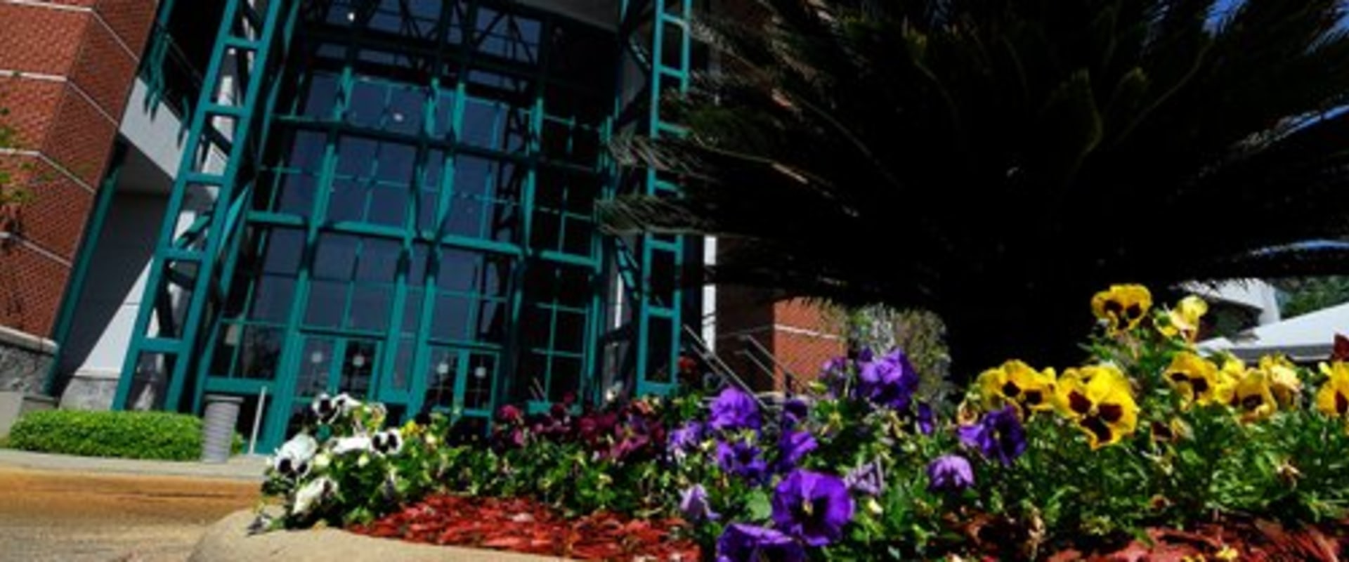 The Best Outdoor Event Spaces in Hattiesburg, MS
